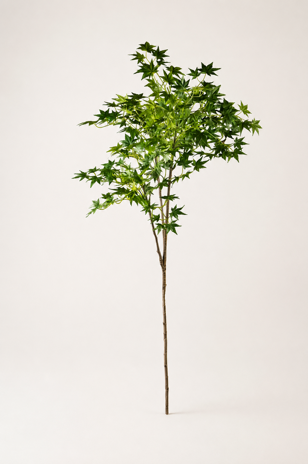Artificial Japanese Maple Tree — Faux Indoor Statement Plant