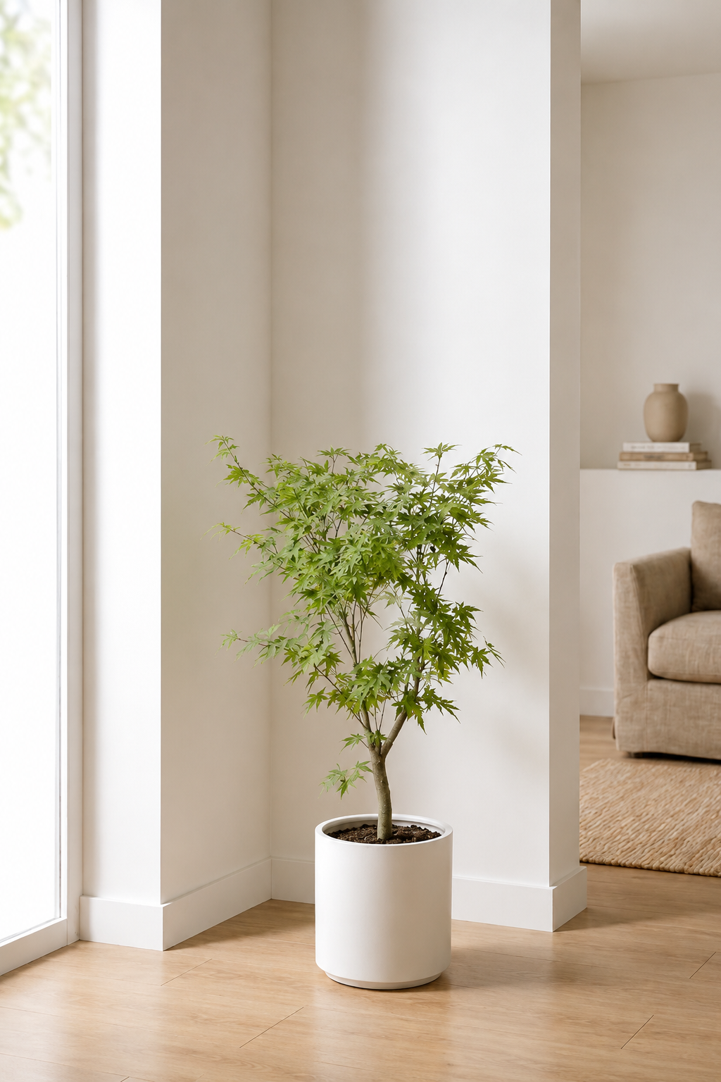 Artificial Japanese Maple Tree — Faux Indoor Statement Plant